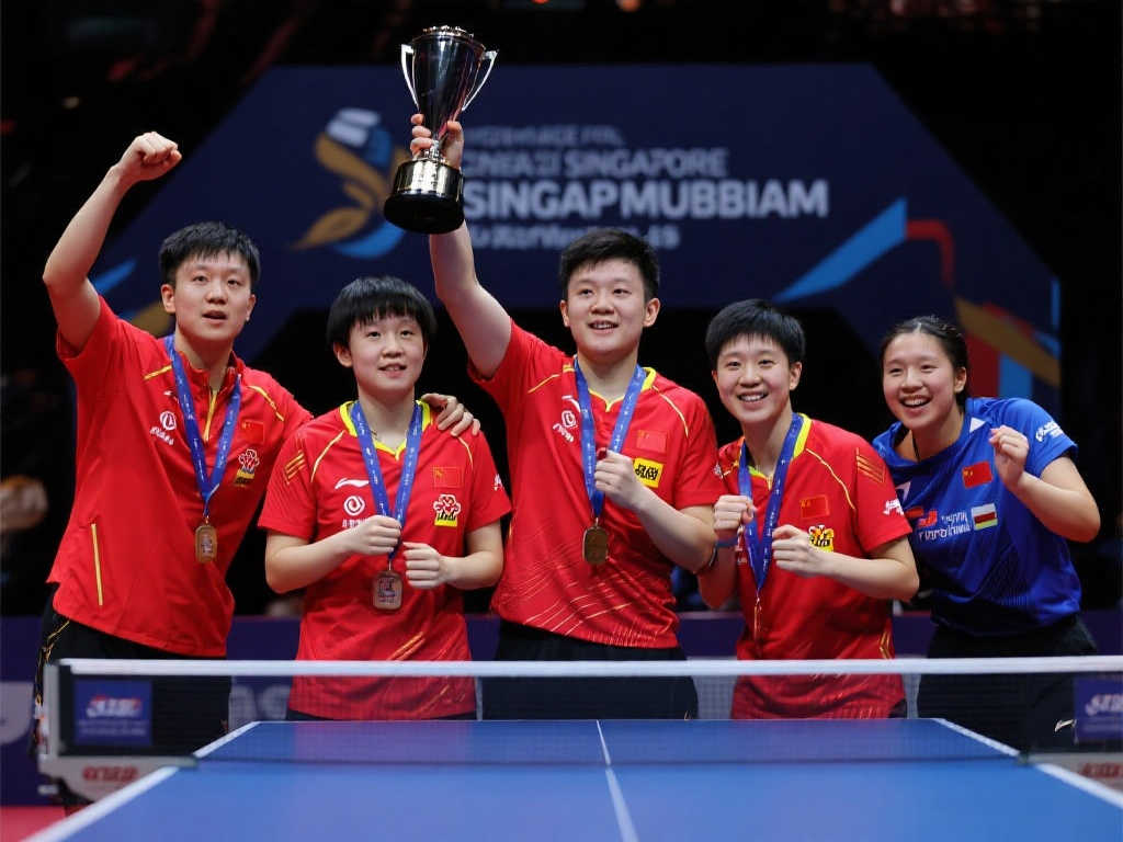 各队的表现 各队的表现